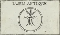 Picture 43 of 174 from Discovrs De La Religion Des Anciens Romains (1672), leaf 67