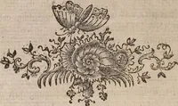 An illustration from (Band 4,1): Der europäischen Schmetterlinge Vierten Theils erster Band welcher die Eulenphalenen von Tom. IV. Tab. LXXX. Noct. 1. - Tom. IV. Tab. CXXV. Noct. 46 und Die Bogen A bis Aaa enthält (1786)