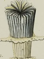 Picture 39 of 72 from (Band 1): mit acht und sechzig Kupfertafeln (1791), leaf 203
