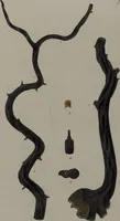 Picture 39 of 106 from (Band 2): Mit hundert und sechs illuminirten Kupfertafeln (1794), leaf 214