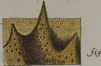 Picture 50 of 106 from (Band 2): Mit hundert und sechs illuminirten Kupfertafeln (1794), leaf 253