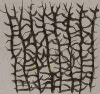 An illustration from (Band 2): Mit hundert und sechs illuminirten Kupfertafeln (1794)