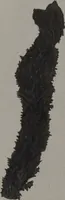 An illustration from (Band 2): Mit hundert und sechs illuminirten Kupfertafeln (1794)