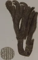 An illustration from (Band 2): Mit hundert und sechs illuminirten Kupfertafeln (1794)