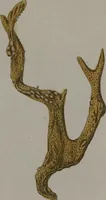 An illustration from (Band 2): Mit hundert und sechs illuminirten Kupfertafeln (1794)