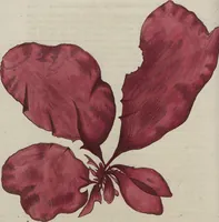 Picture 45 of 81 from (Band 1) (1800), leaf 190