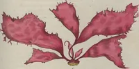 Picture 54 of 81 from (Band 1) (1800), leaf 218