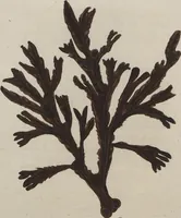 Picture 7 of 81 from (Band 1) (1800), leaf 44