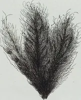 An illustration from (Band 2,1): Fünftes Heft. oder des zweitenTheils erstes Heft (1802)