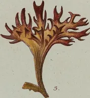 An illustration from (2,2): Sechstes Heft. oder des zweitenTheils zweites Heft: Mit vier und zwanzig illuminirten Kupfertafeln (1804)