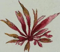 An illustration from (2,3): Siebentes Heft. oder des zweiten Theils drittes Heft: Mit vier und zwanzig illuminirten Kupfertafeln (1808)