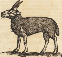An illustration from Thierbuch Das ist ein kurtze beschreybung aller vierfüssigen Thieren/ so auff der erden vn[d] in wassern wonend/ sampt jrer waren conterfactur: alles zů nutz vn[d] gůtem allen liebhabern der künsten/ Artzeten/ Maleren/ Bildschnitzern/ Weydleüten vnd Köchen/ gestelt (1583)