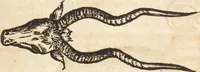 An illustration from Thierbuch Das ist ein kurtze beschreybung aller vierfüssigen Thieren/ so auff der erden vn[d] in wassern wonend/ sampt jrer waren conterfactur: alles zů nutz vn[d] gůtem allen liebhabern der künsten/ Artzeten/ Maleren/ Bildschnitzern/ Weydleüten vnd Köchen/ gestelt (1583)