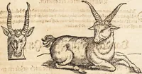 An illustration from Thierbuch Das ist ein kurtze beschreybung aller vierfüssigen Thieren/ so auff der erden vn[d] in wassern wonend/ sampt jrer waren conterfactur: alles zů nutz vn[d] gůtem allen liebhabern der künsten/ Artzeten/ Maleren/ Bildschnitzern/ Weydleüten vnd Köchen/ gestelt (1583)