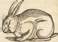 An illustration from Thierbuch Das ist ein kurtze beschreybung aller vierfüssigen Thieren/ so auff der erden vn[d] in wassern wonend/ sampt jrer waren conterfactur: alles zů nutz vn[d] gůtem allen liebhabern der künsten/ Artzeten/ Maleren/ Bildschnitzern/ Weydleüten vnd Köchen/ gestelt (1583)