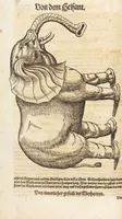 An illustration from Thierbuch Das ist ein kurtze beschreybung aller vierfüssigen Thieren/ so auff der erden vn[d] in wassern wonend/ sampt jrer waren conterfactur: alles zů nutz vn[d] gůtem allen liebhabern der künsten/ Artzeten/ Maleren/ Bildschnitzern/ Weydleüten vnd Köchen/ gestelt (1583)