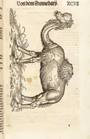 An illustration from Thierbuch Das ist ein kurtze beschreybung aller vierfüssigen Thieren/ so auff der erden vn[d] in wassern wonend/ sampt jrer waren conterfactur: alles zů nutz vn[d] gůtem allen liebhabern der künsten/ Artzeten/ Maleren/ Bildschnitzern/ Weydleüten vnd Köchen/ gestelt (1583)