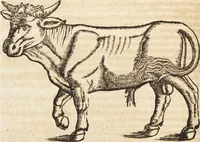An illustration from Thierbuch Das ist ein kurtze beschreybung aller vierfüssigen Thieren/ so auff der erden vn[d] in wassern wonend/ sampt jrer waren conterfactur: alles zů nutz vn[d] gůtem allen liebhabern der künsten/ Artzeten/ Maleren/ Bildschnitzern/ Weydleüten vnd Köchen/ gestelt (1583)