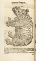 An illustration from Thierbuch Das ist ein kurtze beschreybung aller vierfüssigen Thieren/ so auff der erden vn[d] in wassern wonend/ sampt jrer waren conterfactur: alles zů nutz vn[d] gůtem allen liebhabern der künsten/ Artzeten/ Maleren/ Bildschnitzern/ Weydleüten vnd Köchen/ gestelt (1583)