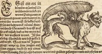 An illustration from Thierbuch Das ist ein kurtze beschreybung aller vierfüssigen Thieren/ so auff der erden vn[d] in wassern wonend/ sampt jrer waren conterfactur: alles zů nutz vn[d] gůtem allen liebhabern der künsten/ Artzeten/ Maleren/ Bildschnitzern/ Weydleüten vnd Köchen/ gestelt (1583)