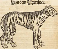 An illustration from Thierbuch Das ist ein kurtze beschreybung aller vierfüssigen Thieren/ so auff der erden vn[d] in wassern wonend/ sampt jrer waren conterfactur: alles zů nutz vn[d] gůtem allen liebhabern der künsten/ Artzeten/ Maleren/ Bildschnitzern/ Weydleüten vnd Köchen/ gestelt (1583)