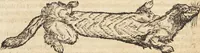 An illustration from Thierbuch Das ist ein kurtze beschreybung aller vierfüssigen Thieren/ so auff der erden vn[d] in wassern wonend/ sampt jrer waren conterfactur: alles zů nutz vn[d] gůtem allen liebhabern der künsten/ Artzeten/ Maleren/ Bildschnitzern/ Weydleüten vnd Köchen/ gestelt (1583)