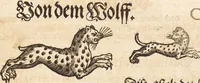An illustration from Thierbuch Das ist ein kurtze beschreybung aller vierfüssigen Thieren/ so auff der erden vn[d] in wassern wonend/ sampt jrer waren conterfactur: alles zů nutz vn[d] gůtem allen liebhabern der künsten/ Artzeten/ Maleren/ Bildschnitzern/ Weydleüten vnd Köchen/ gestelt (1583)