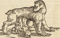 An illustration from Thierbuch Das ist ein kurtze beschreybung aller vierfüssigen Thieren/ so auff der erden vn[d] in wassern wonend/ sampt jrer waren conterfactur: alles zů nutz vn[d] gůtem allen liebhabern der künsten/ Artzeten/ Maleren/ Bildschnitzern/ Weydleüten vnd Köchen/ gestelt (1583)