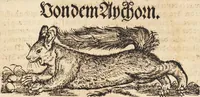 An illustration from Thierbuch Das ist ein kurtze beschreybung aller vierfüssigen Thieren/ so auff der erden vn[d] in wassern wonend/ sampt jrer waren conterfactur: alles zů nutz vn[d] gůtem allen liebhabern der künsten/ Artzeten/ Maleren/ Bildschnitzern/ Weydleüten vnd Köchen/ gestelt (1583)