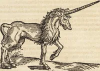 An illustration from Thierbuch Das ist ein kurtze beschreybung aller vierfüssigen Thieren/ so auff der erden vn[d] in wassern wonend/ sampt jrer waren conterfactur: alles zů nutz vn[d] gůtem allen liebhabern der künsten/ Artzeten/ Maleren/ Bildschnitzern/ Weydleüten vnd Köchen/ gestelt (1583)