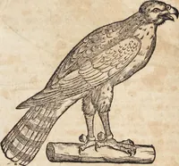 An illustration from Thierbuch Das ist ein kurtze beschreybung aller vierfüssigen Thieren/ so auff der erden vn[d] in wassern wonend/ sampt jrer waren conterfactur: alles zů nutz vn[d] gůtem allen liebhabern der künsten/ Artzeten/ Maleren/ Bildschnitzern/ Weydleüten vnd Köchen/ gestelt (1583)