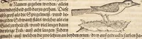 An illustration from Thierbuch Das ist ein kurtze beschreybung aller vierfüssigen Thieren/ so auff der erden vn[d] in wassern wonend/ sampt jrer waren conterfactur: alles zů nutz vn[d] gůtem allen liebhabern der künsten/ Artzeten/ Maleren/ Bildschnitzern/ Weydleüten vnd Köchen/ gestelt (1583)