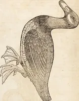An illustration from Thierbuch Das ist ein kurtze beschreybung aller vierfüssigen Thieren/ so auff der erden vn[d] in wassern wonend/ sampt jrer waren conterfactur: alles zů nutz vn[d] gůtem allen liebhabern der künsten/ Artzeten/ Maleren/ Bildschnitzern/ Weydleüten vnd Köchen/ gestelt (1583)
