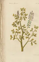 An illustration from (Erstes Heft) (1787)