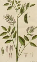 Picture 9 of 14 from (Erstes Heft) (1787), leaf 178