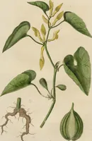An illustration from (Erstes Heft) (1787)