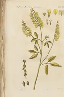 Picture 11 of 14 from (Erstes Heft) (1787), leaf 234