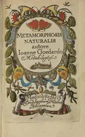An illustration from ([Band 1]): Cum Commentariis D. Joannis de Mey Ecclesiastis Medioburgensis ac Doct. Med. & duplici ejusdem appendice, una de hemerobiis, altera de natura cometarum, et vanis ex iis divinationibus (1662)