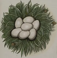 Picture 86 of 107 from Sammlung von Nestern und Eyern verschiedener Vögel: aus den Cabineten des... Herrn.. Schmidels und des Herrn Verfassers (1772), leaf 235