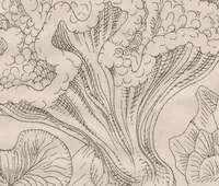 Picture 21 of 51 from (Band 2): Fünfzig Illustrationstafeln mit beschreibendem Text (1900), leaf 67