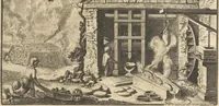 An illustration from Mvsevm Richterianvm: continens fossilia animalia vegetabilia mar. (1743)