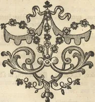 Picture 28 of 62 from Mvsevm Richterianvm: continens fossilia animalia vegetabilia mar. (1743), leaf 184