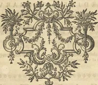 An illustration from Mvsevm Richterianvm: continens fossilia animalia vegetabilia mar. (1743)