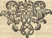 An illustration from Mvsevm Richterianvm: continens fossilia animalia vegetabilia mar. (1743)