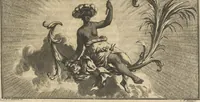 An illustration from Mvsevm Richterianvm: continens fossilia animalia vegetabilia mar. (1743)