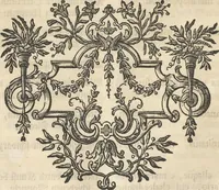 An illustration from Mvsevm Richterianvm: continens fossilia animalia vegetabilia mar. (1743)