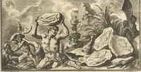 Picture 44 of 62 from Mvsevm Richterianvm: continens fossilia animalia vegetabilia mar. (1743), leaf 294