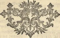 Picture 52 of 62 from Mvsevm Richterianvm: continens fossilia animalia vegetabilia mar. (1743), leaf 411