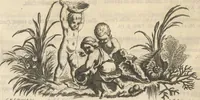 An illustration from Mvsevm Richterianvm: continens fossilia animalia vegetabilia mar. (1743)