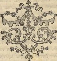 An illustration from Mvsevm Richterianvm: continens fossilia animalia vegetabilia mar. (1743)